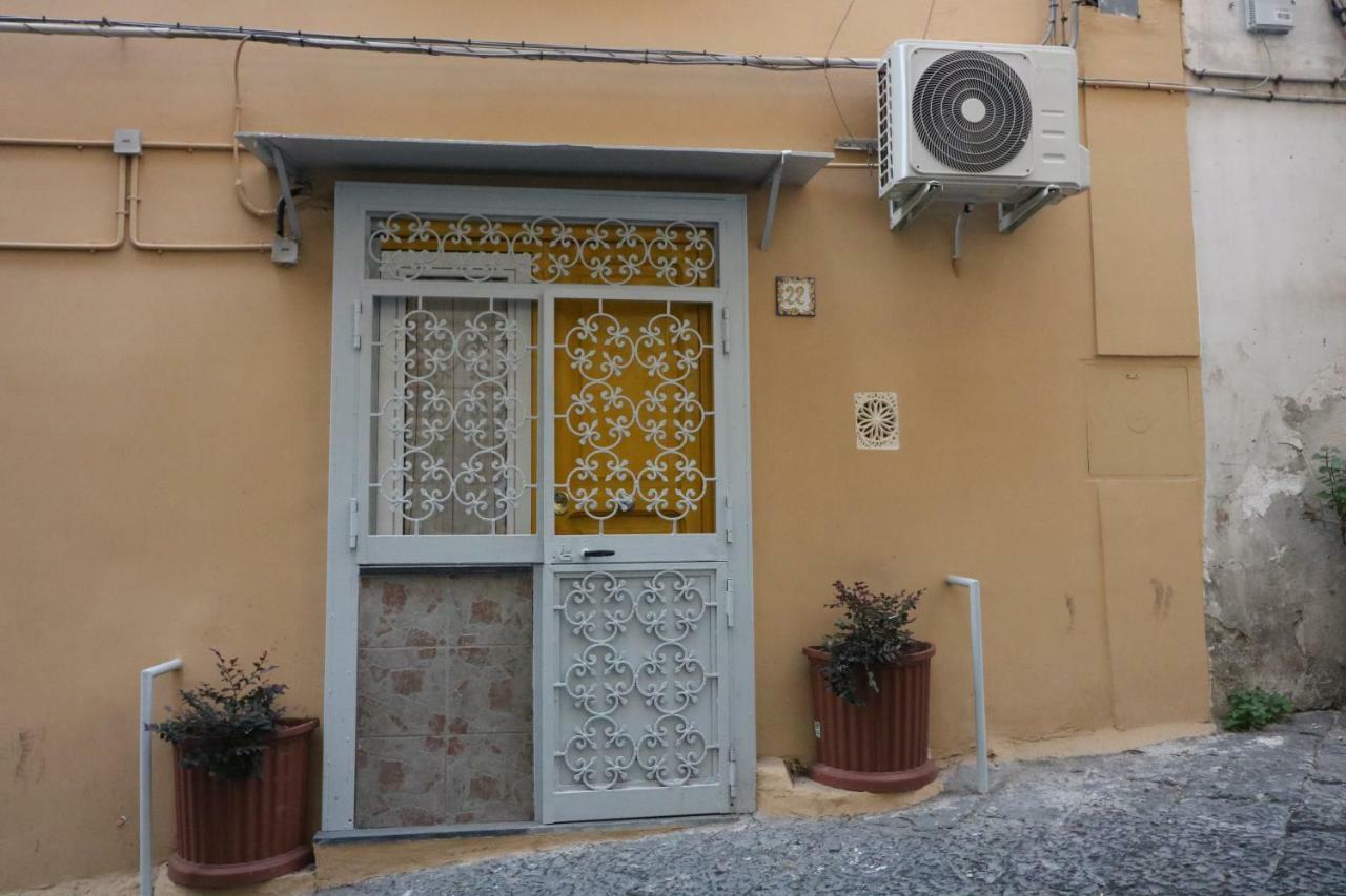 Giallo Napoli Luaran gambar